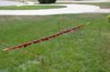 DSC_6797.jpg