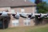 DSC_6796.jpg