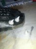 IMG_20130827_172735.jpg