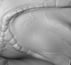cthulu back 2 copy.jpg cthulu back 2 copy.jpg