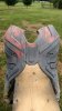 IMG_20160825_161657907.jpg