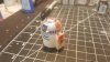 20160810_204453.jpg