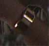 brywatch_03.jpg