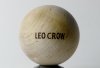 Leocrowraw.JPG