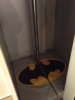 Bat09_zpsc9e70928.jpeg Bat09_zpsc9e70928.jpeg