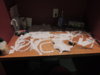 DSCN5168.JPG