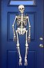 skeleton-halloween-decoration-3.jpg