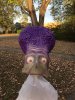 image.jpeg