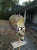 image.jpeg
