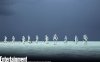 Stormtroopers on the Beach_zpsgvv1txq6.jpg