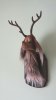 20161107_151601_resized_1.jpg
