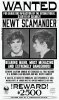 Wanted-Poster-Newt-Scamander.jpg