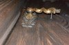 Snake Handle - Push Bar 001.JPG