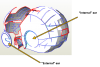 ears.png ears.png
