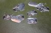 Dogtags 1.jpg
