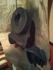 IMG_20161019_234305.jpg
