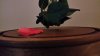 20161224_162703_LLS.jpg