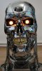 HCG Endoskeleton bust clean 21.jpg