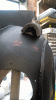FoamWork.gif FoamWork.gif