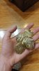 20170228_232156.jpg