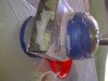 bondo 1.jpg