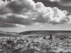 Dartmoor.jpg