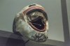 5D3_1667_small.jpg
