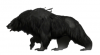 Mor'du.png Mor'du.png