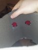 thumbnail_IMG_20170403_005754.jpg thumbnail_IMG_20170403_005754.jpg