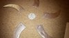 20151229_182553.jpg