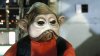 niennunb-01-169-31eccf40-1.jpg