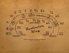 Radiation King-01.jpg