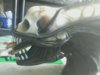 0426131641_01.jpeg