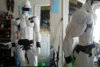 progress-3.jpg