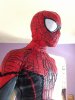 231977-red-black-spiderman-v1-03.JPG