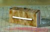 dsc0007wl.jpg