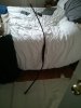 IMG_20130913_152550.jpg