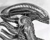 alien 666.jpg