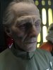 Tarkin--3.JPG