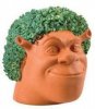 chia pet 1.jpg