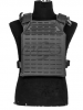 Plate carrier.png