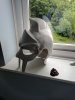IMG_20170629_074916.jpg