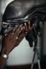 alien 3.jpg