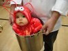 23a069d6a1f328512ab709120883b020--lobsters-halloween-ideas.jpg