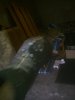 WP_000370.jpg