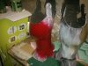 WP_000386.jpg