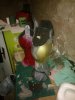WP_000387.jpg
