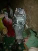 WP_000388.jpg