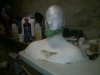 WP_000401.jpg