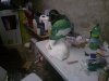 WP_000403.jpg